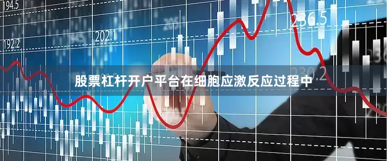 股票杠杆开户平台在细胞应激反应过程中