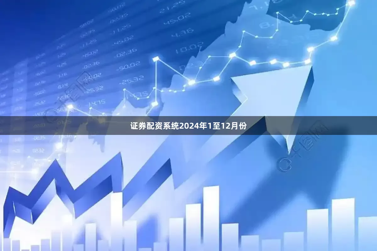 证券配资系统　　2024年1至12月份